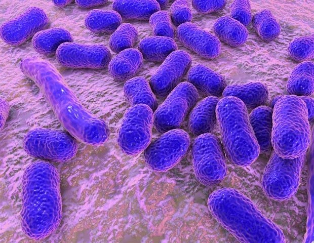 New TB Breakthrough: Modified Peptides Fight Tuberculosis Bacteria (2026)